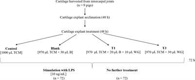 Wheatgrass extract has chondroprotective and anti-inflammatory effects on porcine cartilage